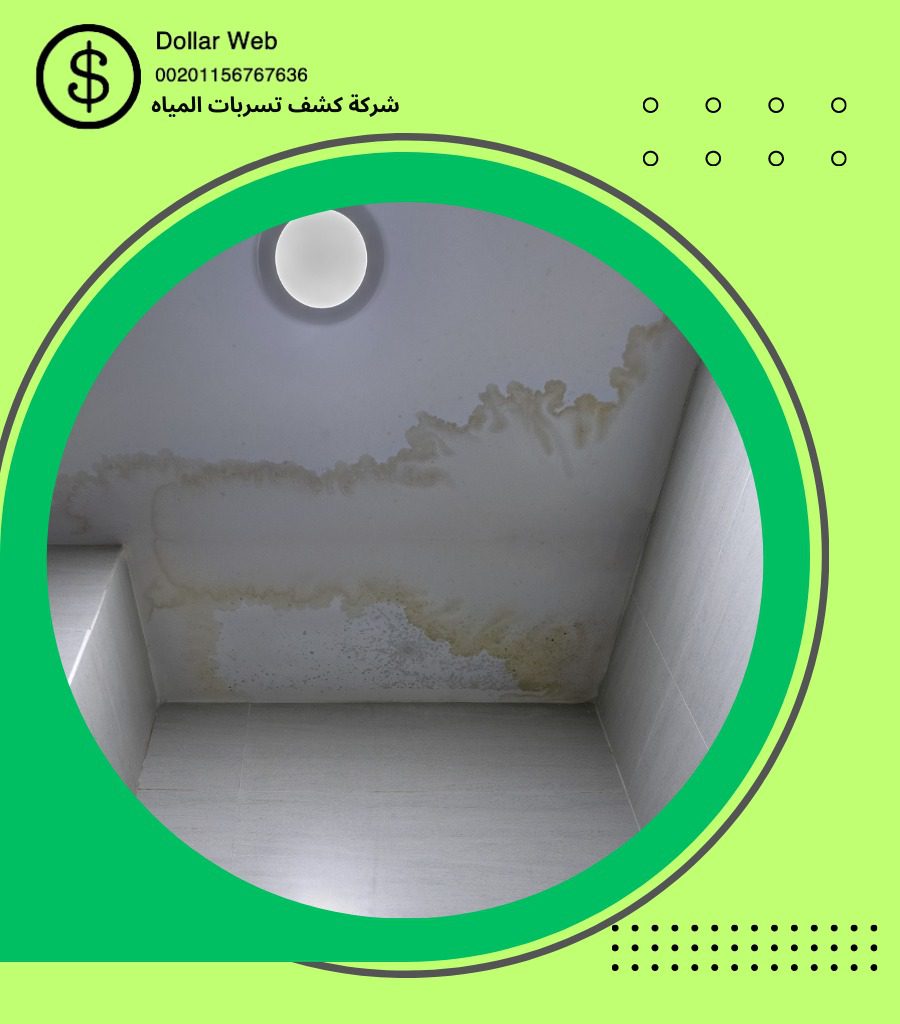 كشف التسربات حي الكندره