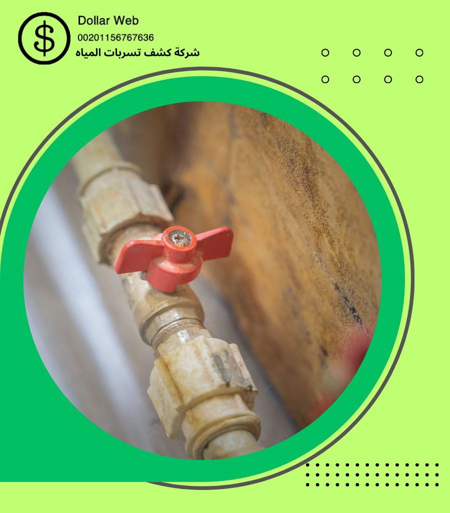 كشف تسربات حي الرويس بجدة