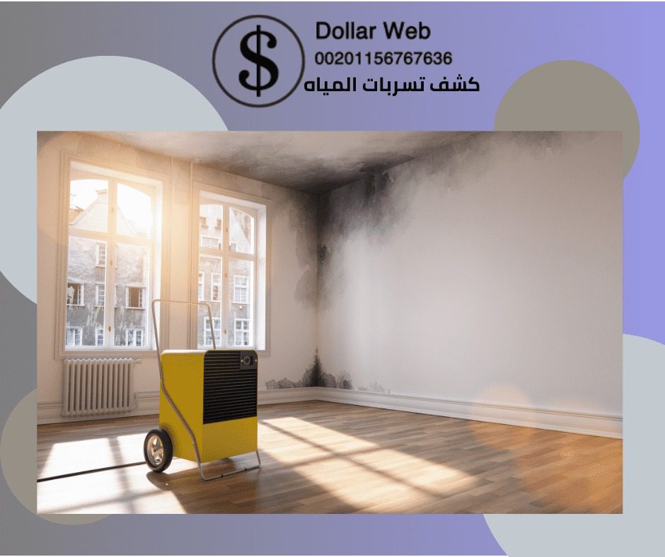 كشف تسربات المياه حي النزهة