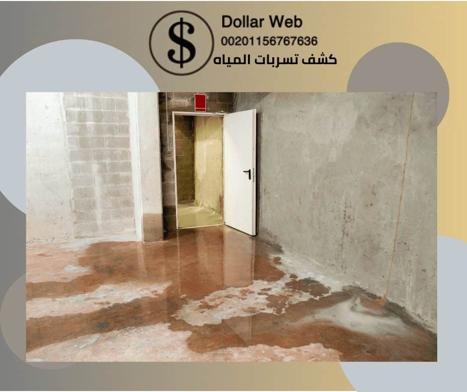 كشف تسربات المياه حي السلامة