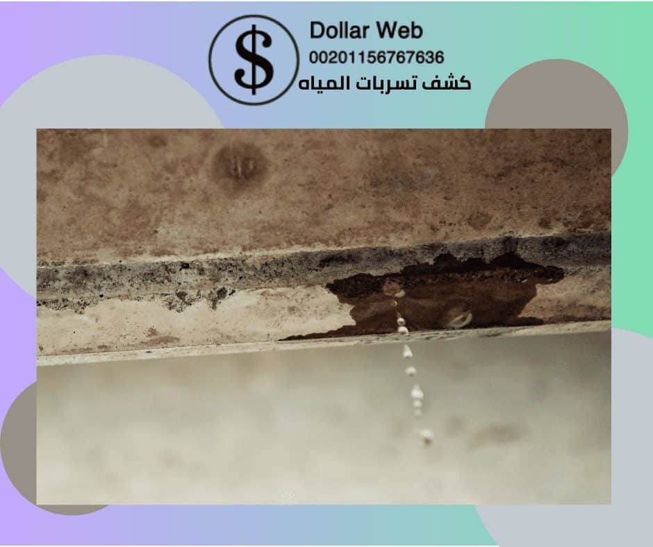 كشف تسربات المياه حي الروابي