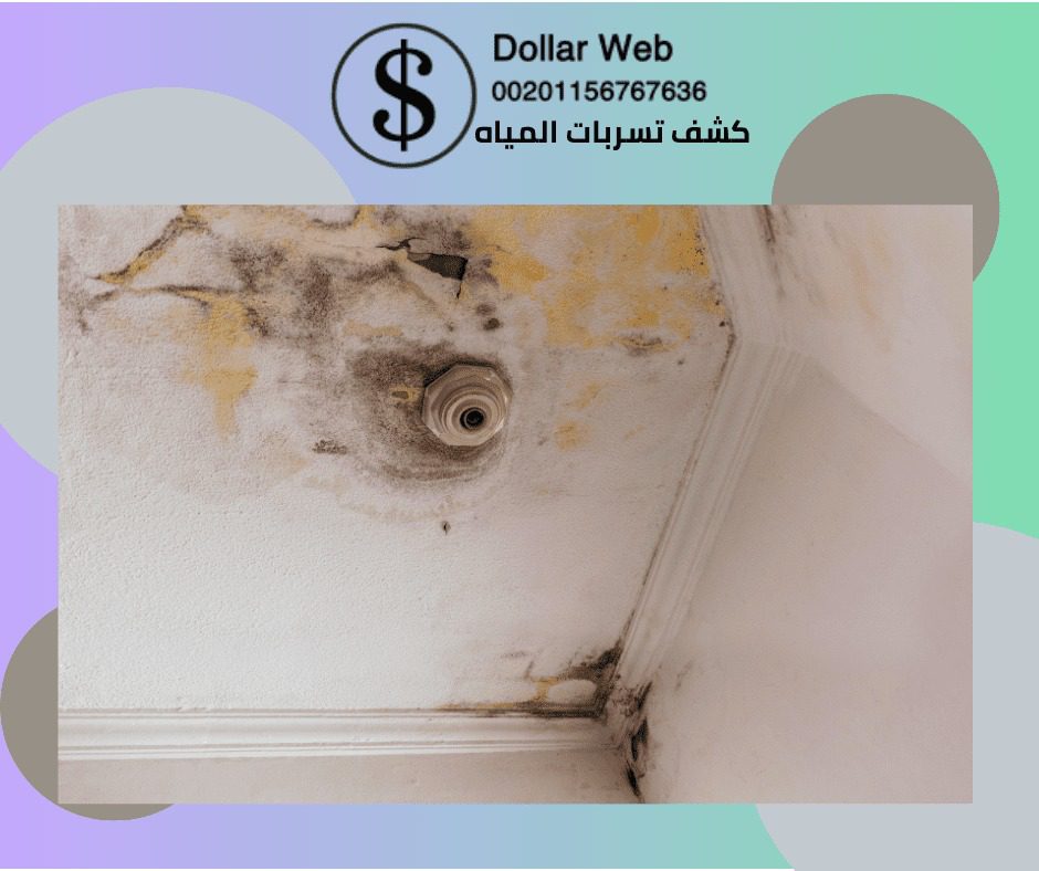 كشف تسربات المياه حي الجامعة