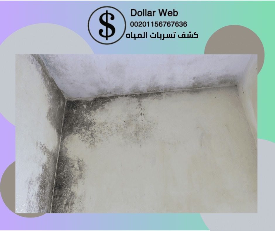 كشف تسربات المياه حي الثغر