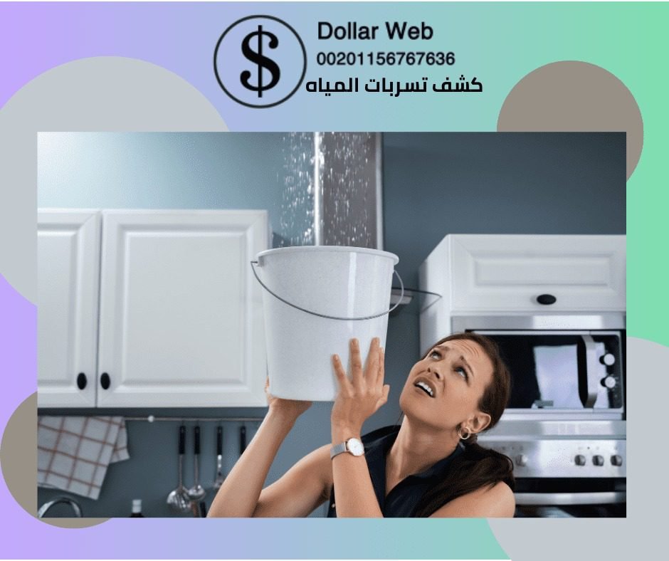 كشف تسربات المياه حي السليمانية
