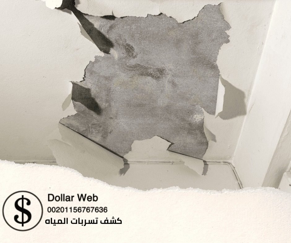 كشف تسربات المياه حي الصحيفة