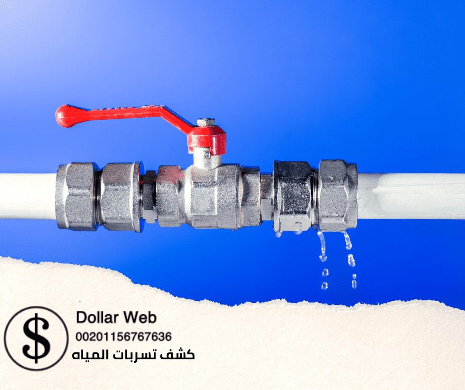 كشف تسربات المياه حي الرويس