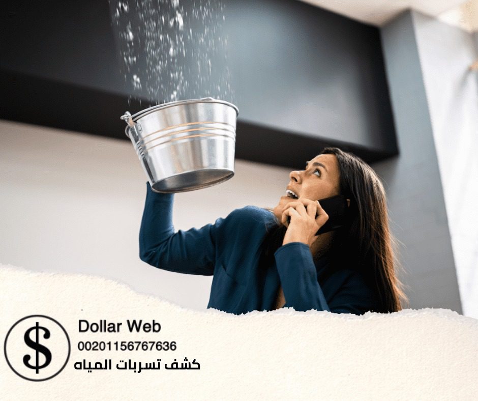 كشف تسربات المياه حي النخيل
